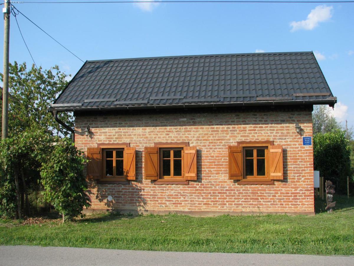 Cottage Plavi Lav Potok Exterior photo